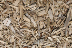 biomass boilers Weetwood